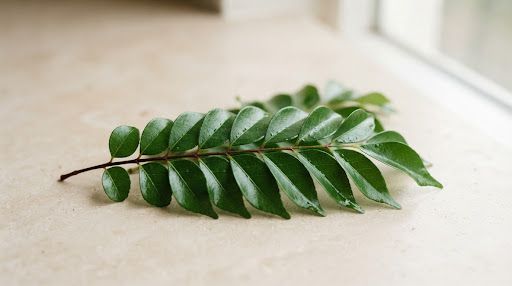 Fresh curry leaves used to temper pepper potatoes